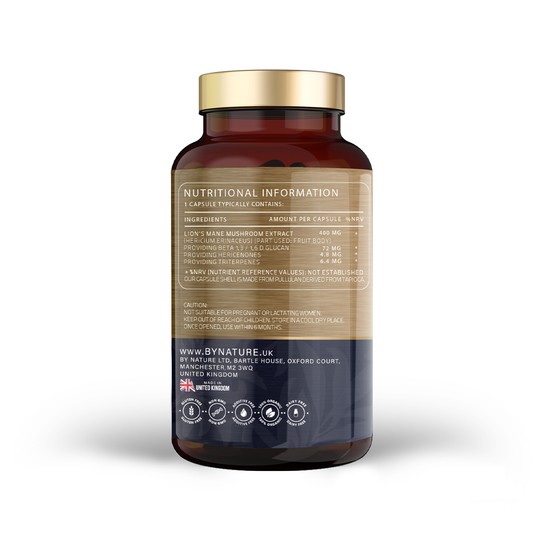 Lion’s Mane (Hericium erinaceus) NGF – High Strength