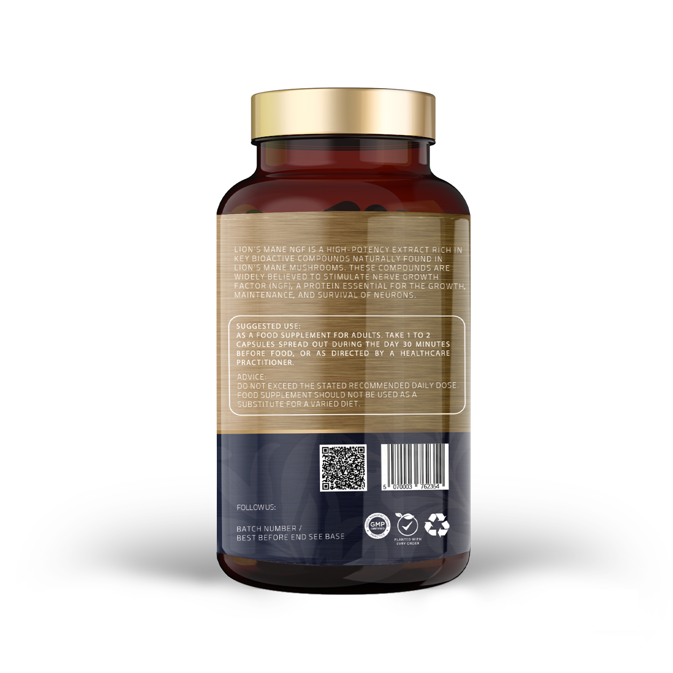 Lion’s Mane (Hericium erinaceus) NGF – High Strength
