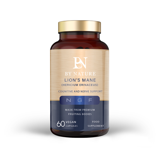 Lion’s Mane (Hericium erinaceus) NGF – High Strength